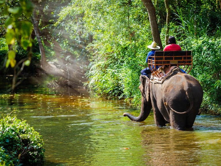 叢林穿越| ©Travel Center UK