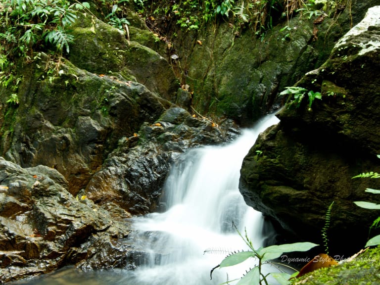 Bang Pae Waterfall| ©Tony Davies