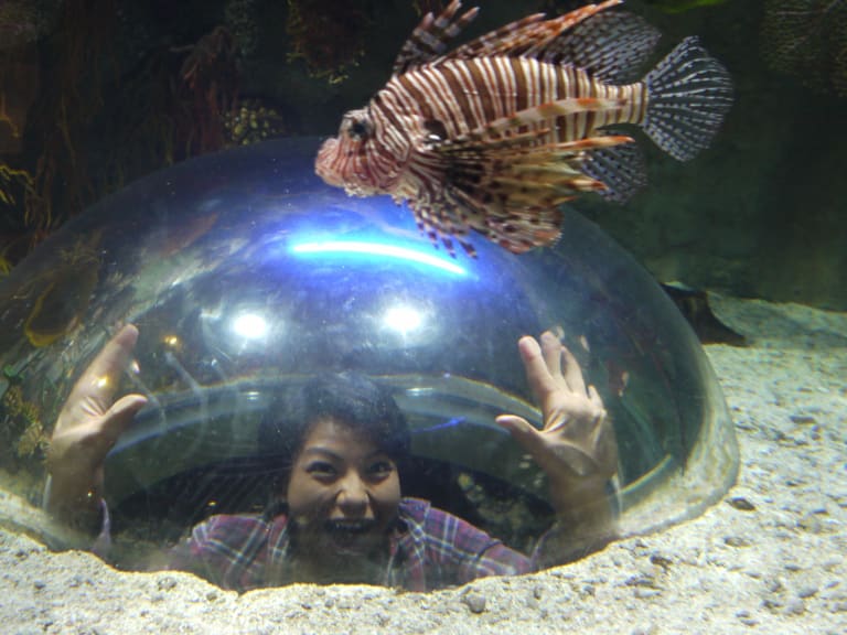 阿布扎比國家水族館| ©krebsmaus07
