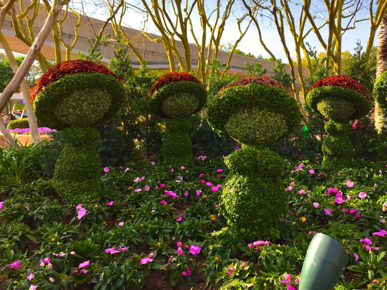 國際花卉園藝節|©Holiday News Orlando