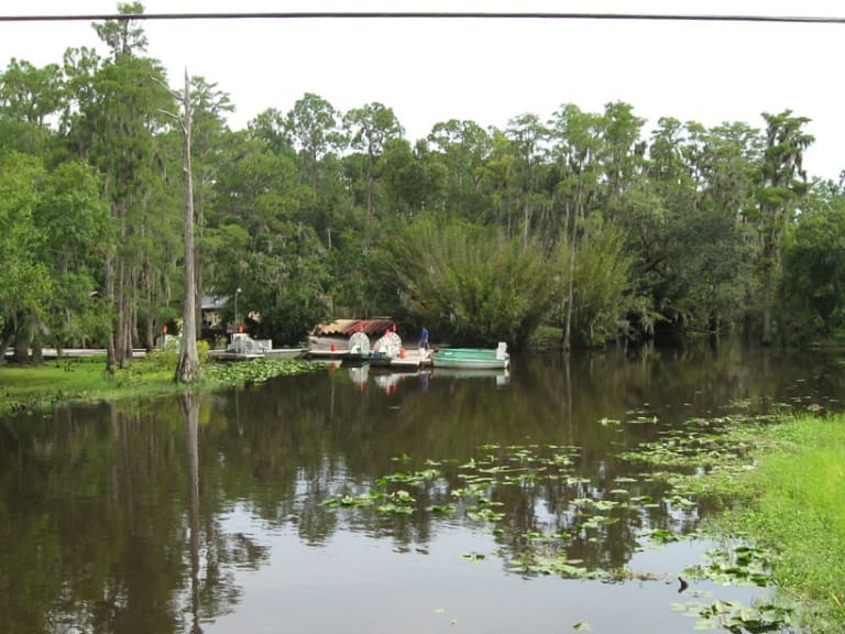 Kissimmee|©Gözde Berberoğlu