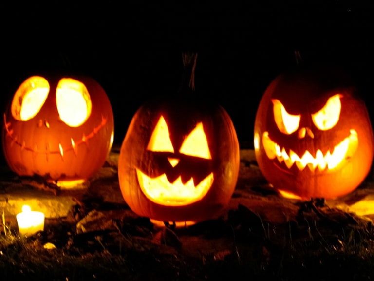 Three orange pumpkins in the dark|© Taylor Foss