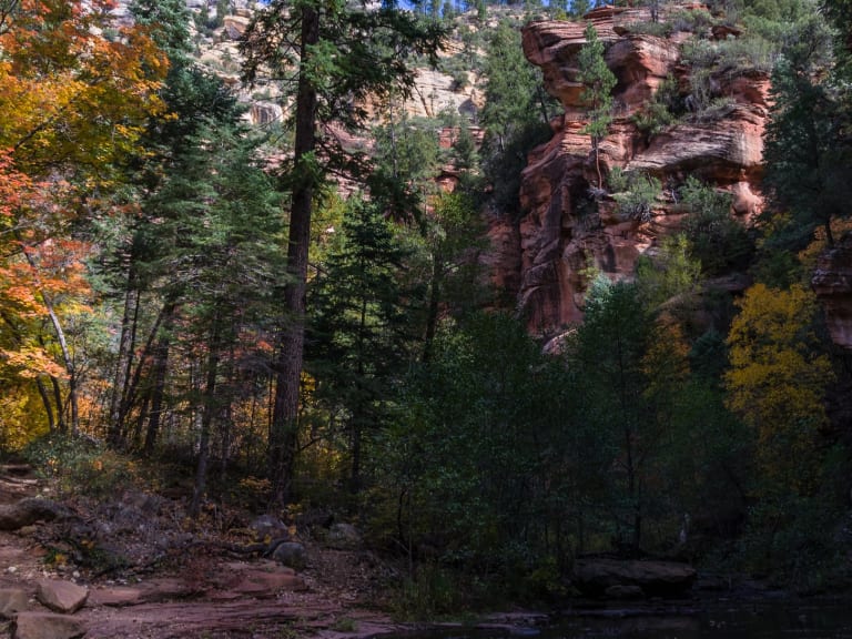 橡樹溪峽谷|©Coconino National Forest, Ariz.