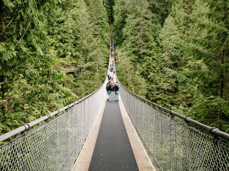 卡皮蘭諾吊橋|©John Park
