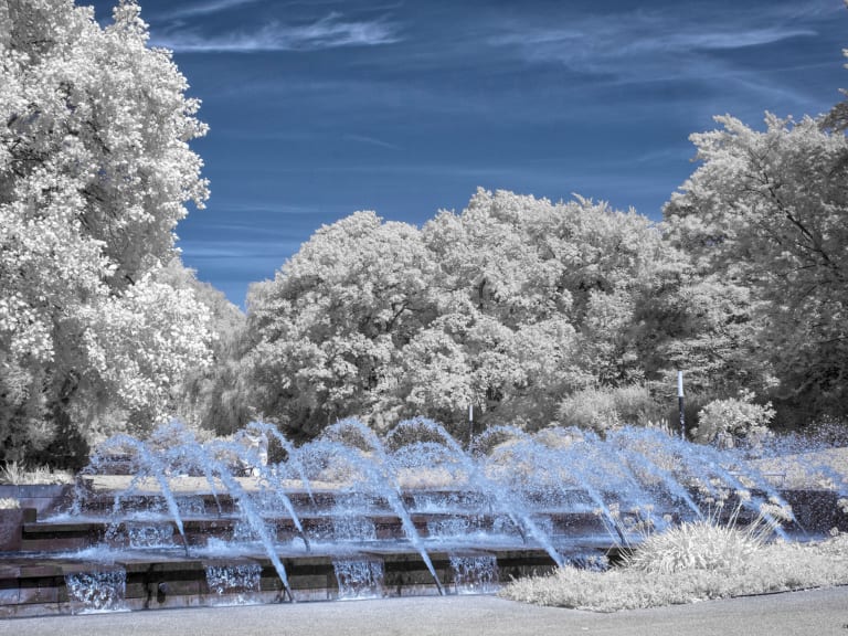 植物園| ©Peter Karoblis