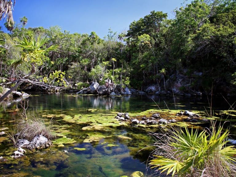Xel-Ha 主題公園| ©franck peyrelongue
