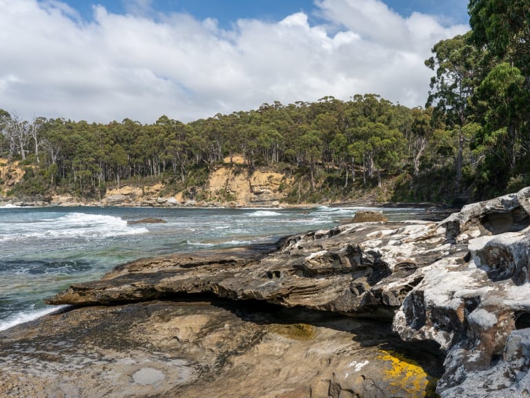 Bruny Island|©The 3B's