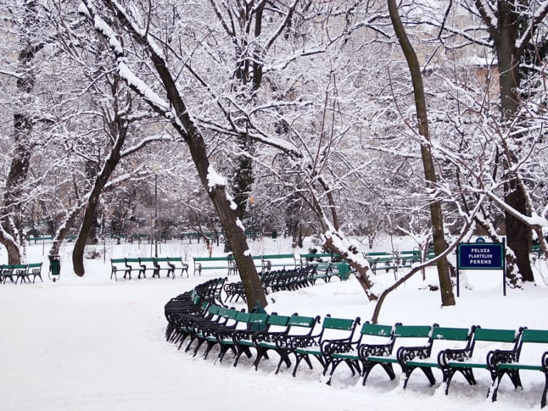 Cismigiu-parken| ©Dana Andrei