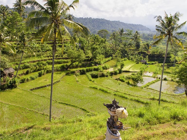 Terrazze di riso a Sidemen, Bali.|©Ernesto Sardón Cantos