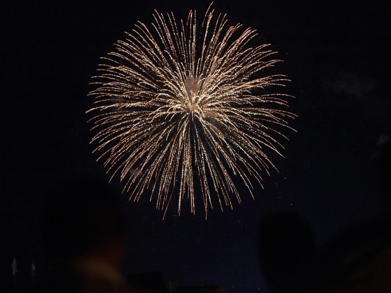 fuochi d'artificio nel cielo|© Flo Dahm 