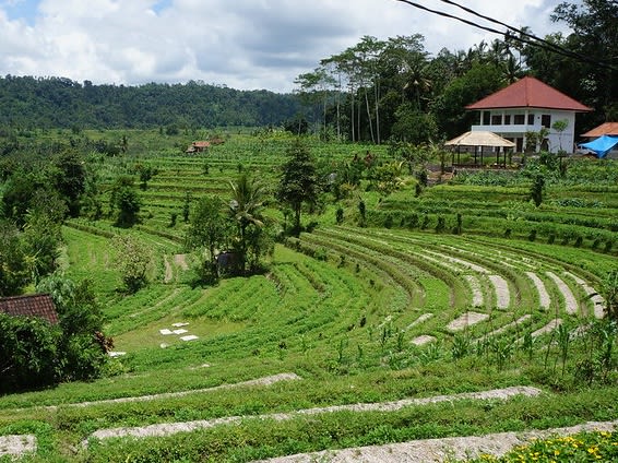 Sidemen, Bali|©Tatsuhiro Iida
