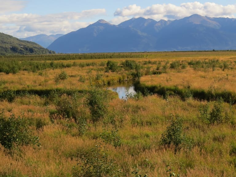 Potter Marsh | ©Luke Jones
