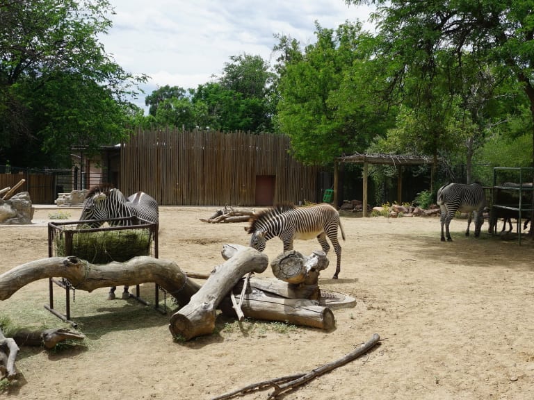 丹佛動物園| ©Owen Allen