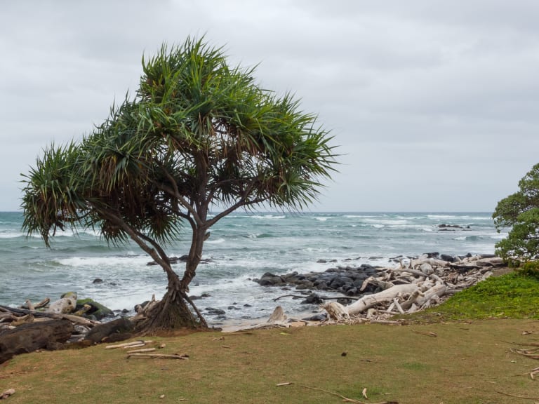 Lydgate State Park| ©Ed Suominen