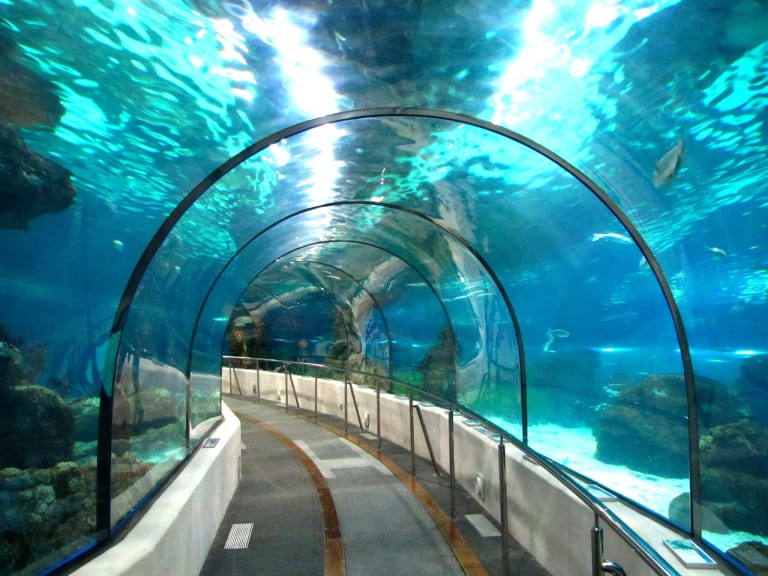 Barcelona Aquarium| ©Sonia