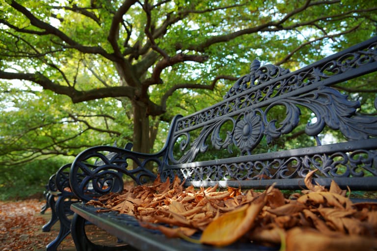 Bench in the park| ©Hellotickets