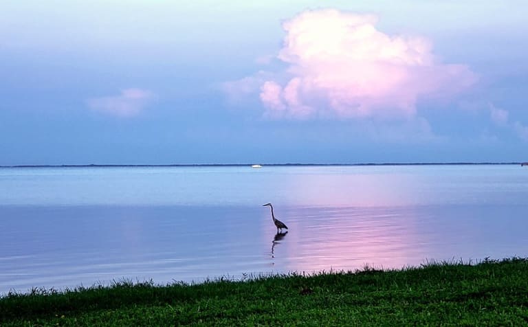 Tampa Körfezi'nde gün batımı| ©Calmuziclover