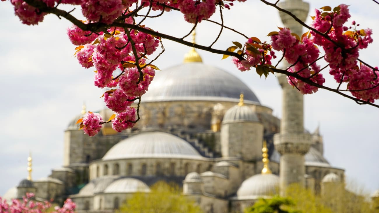 10 parasta tekemistä Istanbulissa