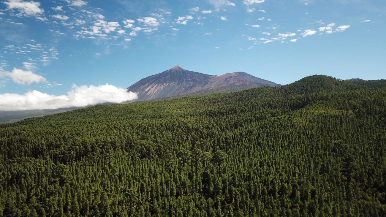 Cómo subir al Teide