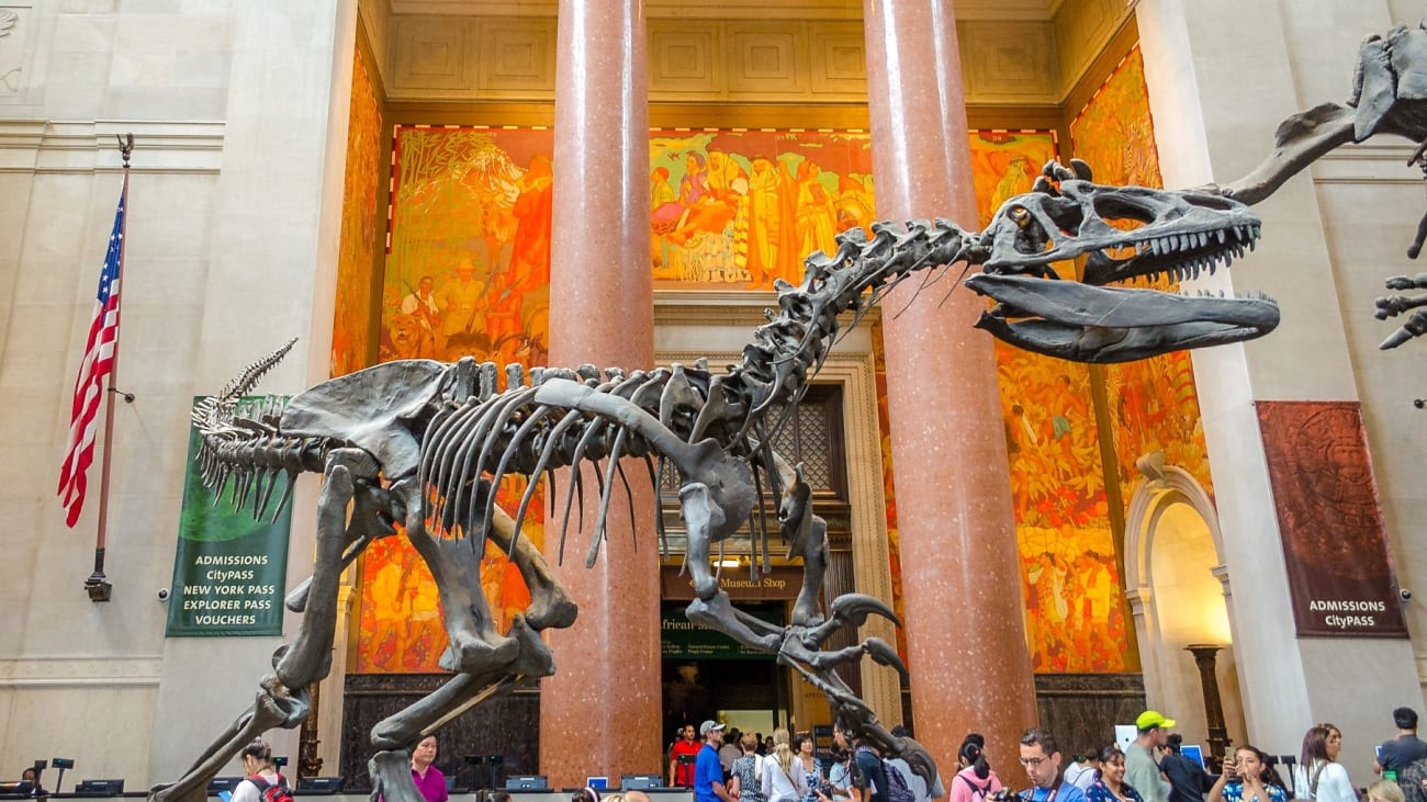 Museum of Natural History New York Tickets: how to buy and prices