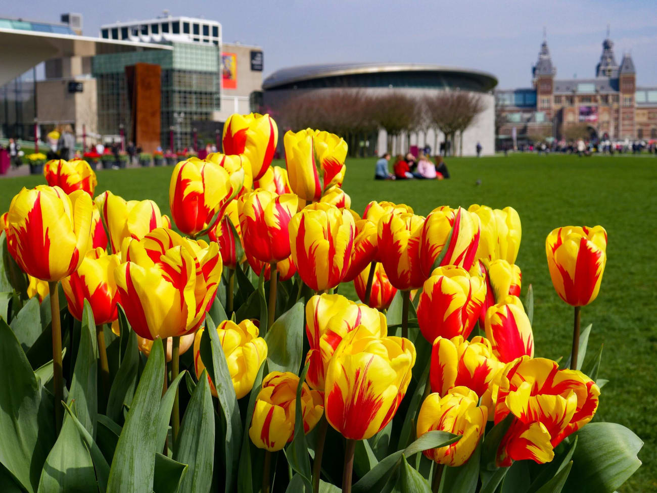 The best museums in Amsterdam