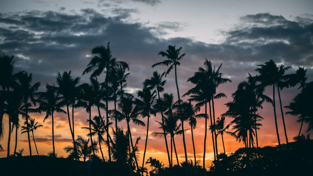 Tours na Ilha Oahu