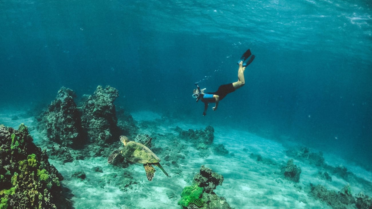 Qué hacer en Maui con niños