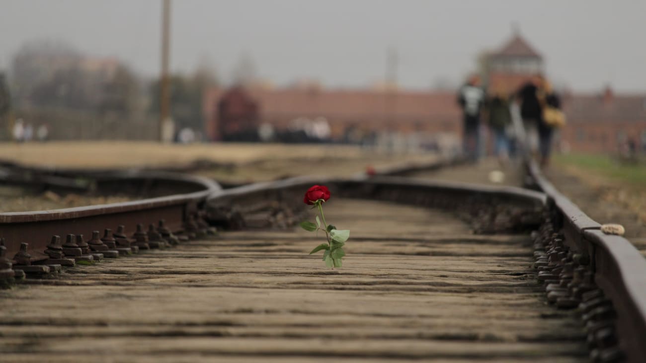 Hur man tar sig till Auschwitz från Krakow