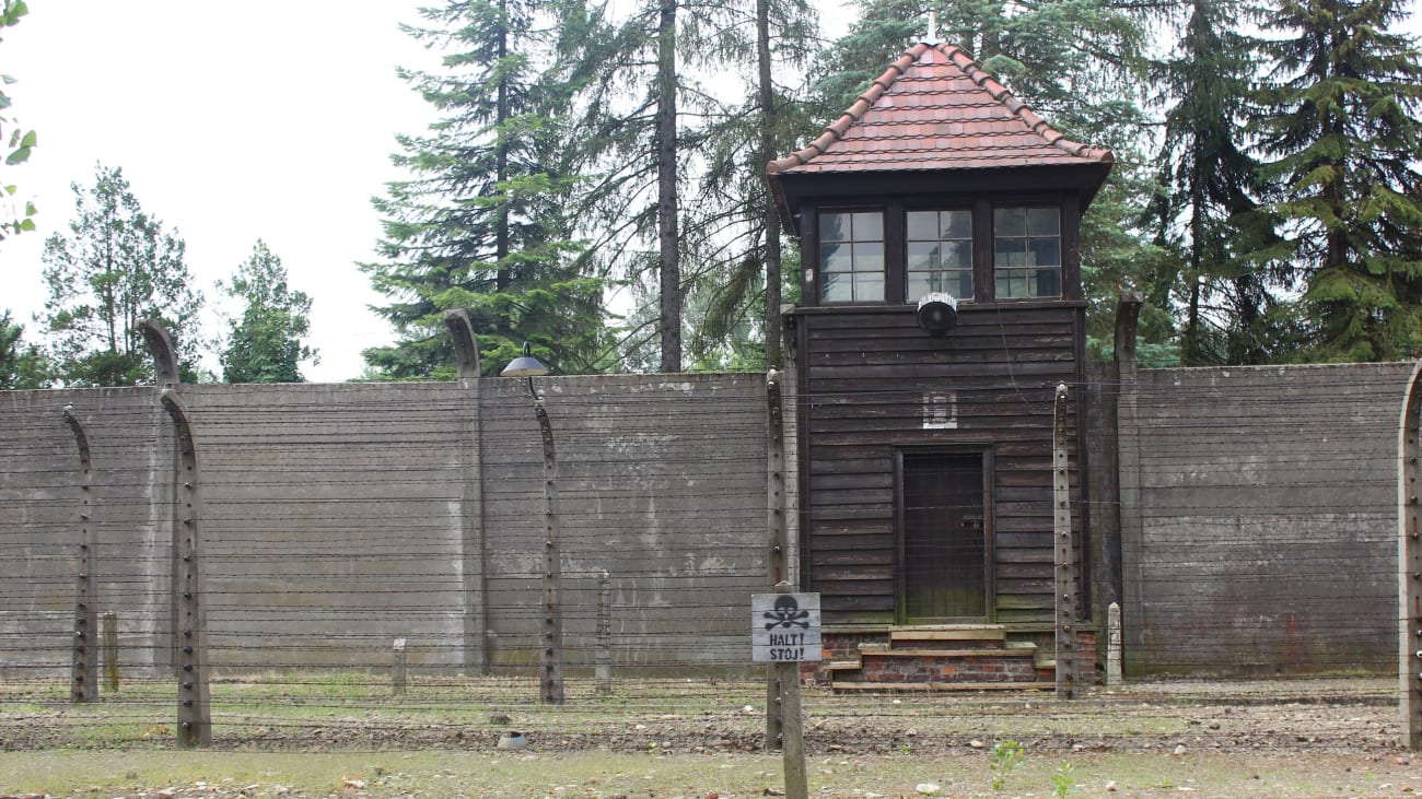 Biljetter till Auschwitz