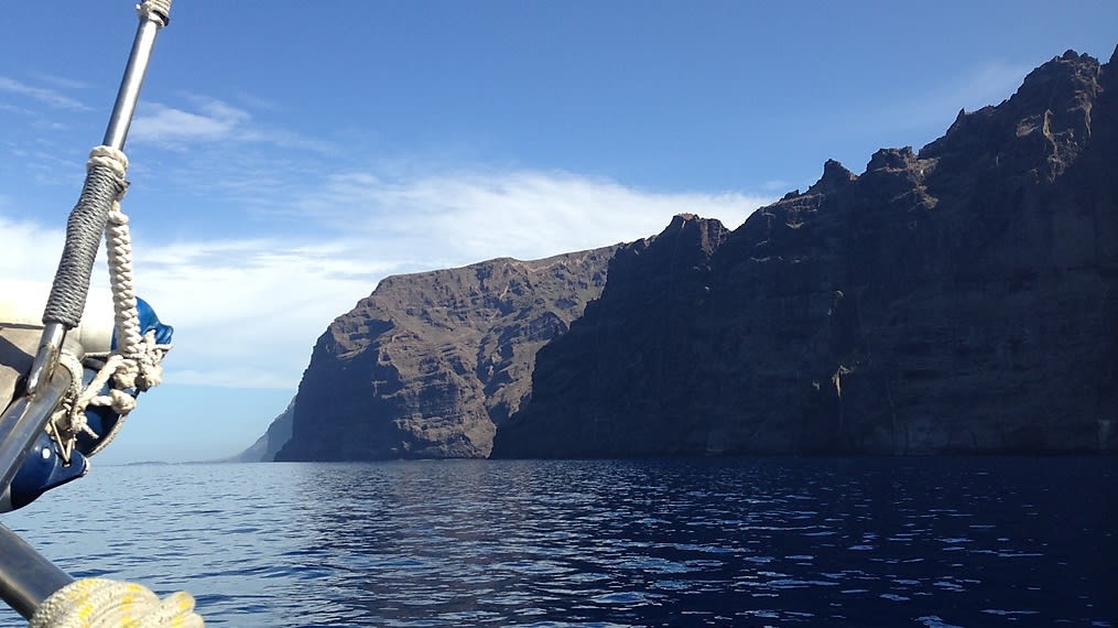 10 redenen om walvissen te spotten op Tenerife