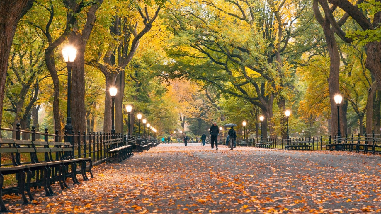 10 Meilleurs parcs de la ville de New York