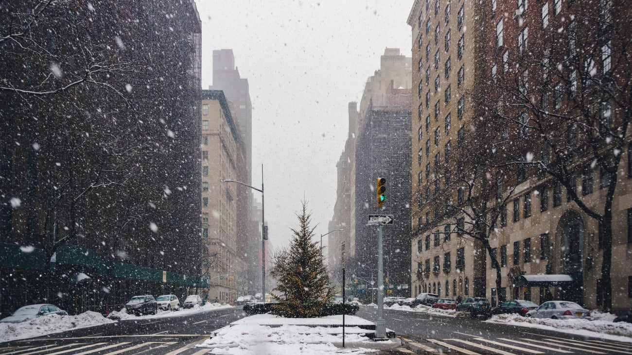 Los 6 mejores tours para ver las luces de Navidad de Nueva York