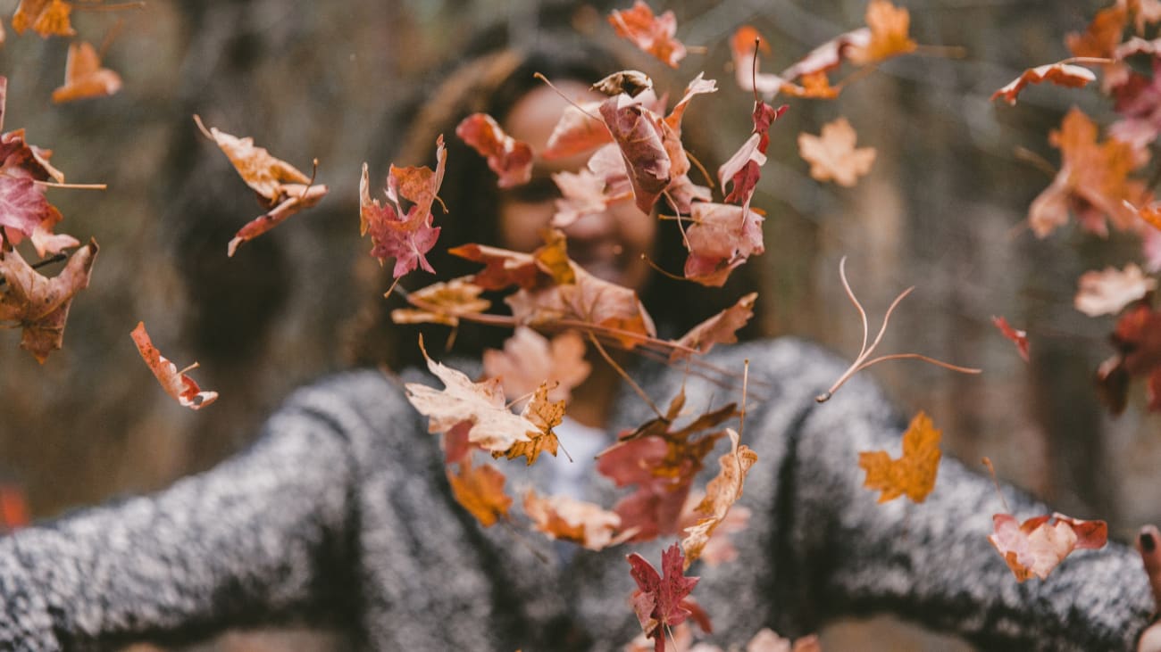 11 choses à faire à New York en novembre