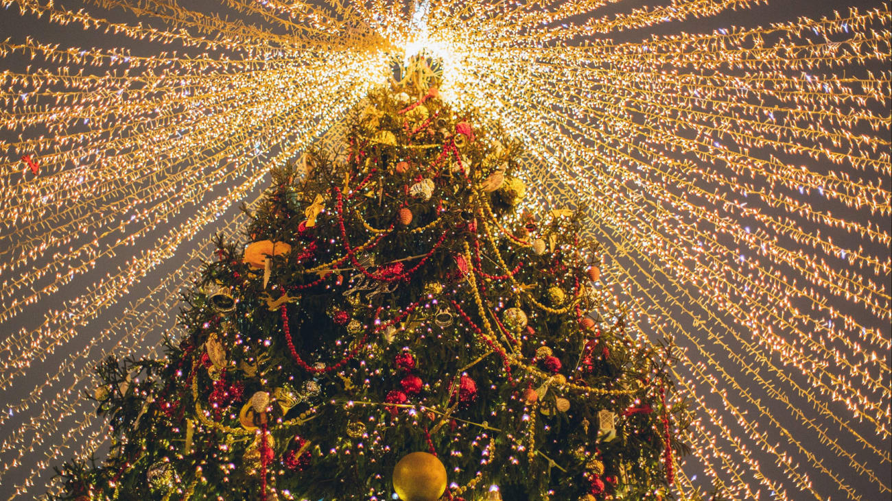 The 11 Best NYC Christmas Trees