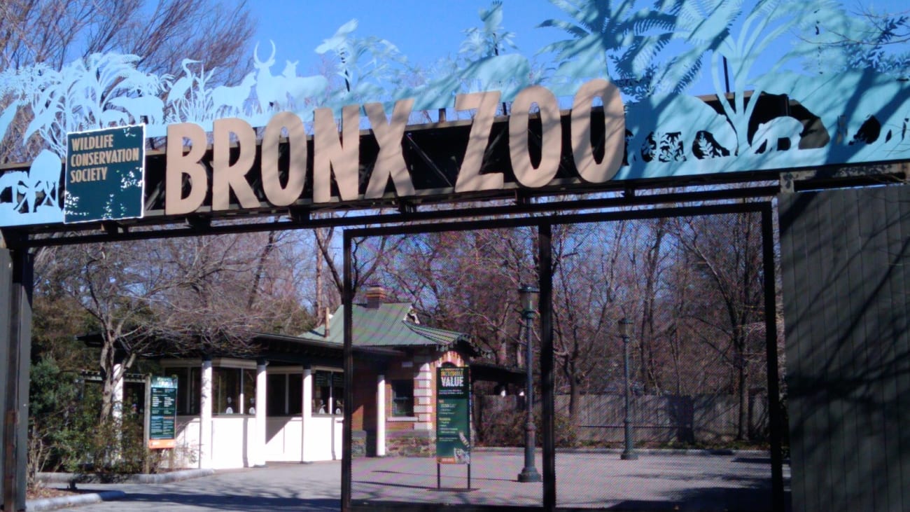 Horários do Zoológico do Bronx