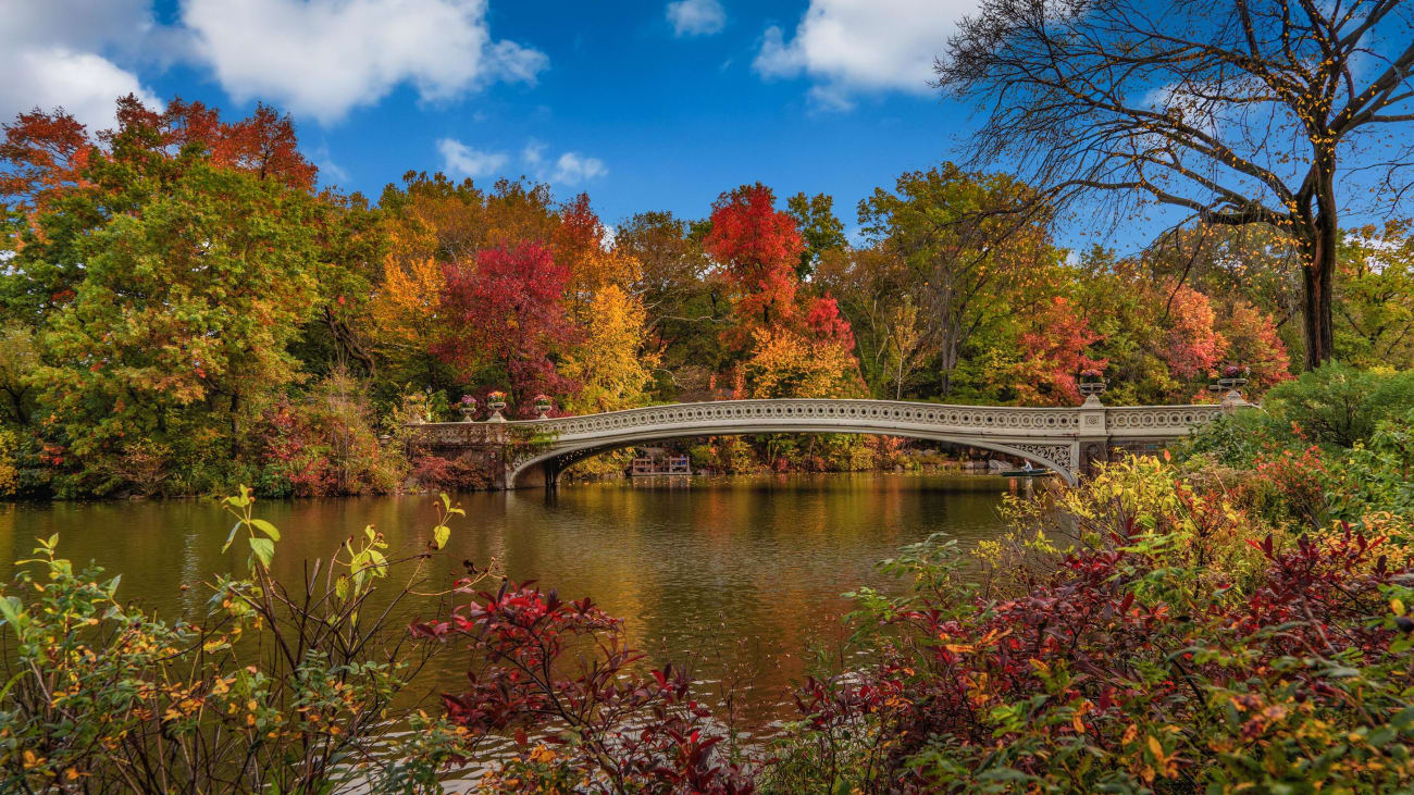 New York in oktober: de beste dingen om te doen en te zien in de stad