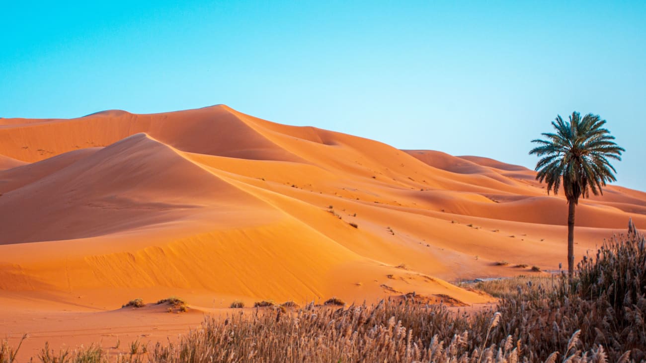 Marrakech in februari: de beste dingen om te doen in de stad (activiteiten, evenementen, routes)