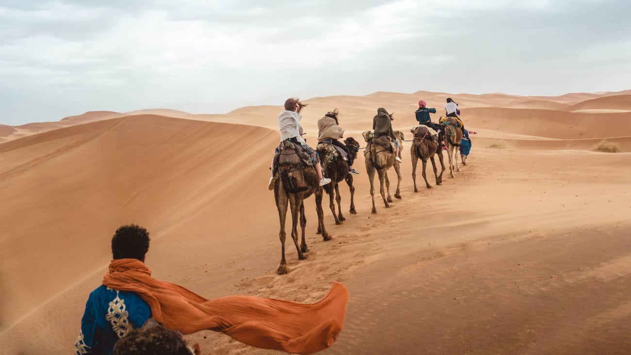 10 choses à faire à Marrakech en juin