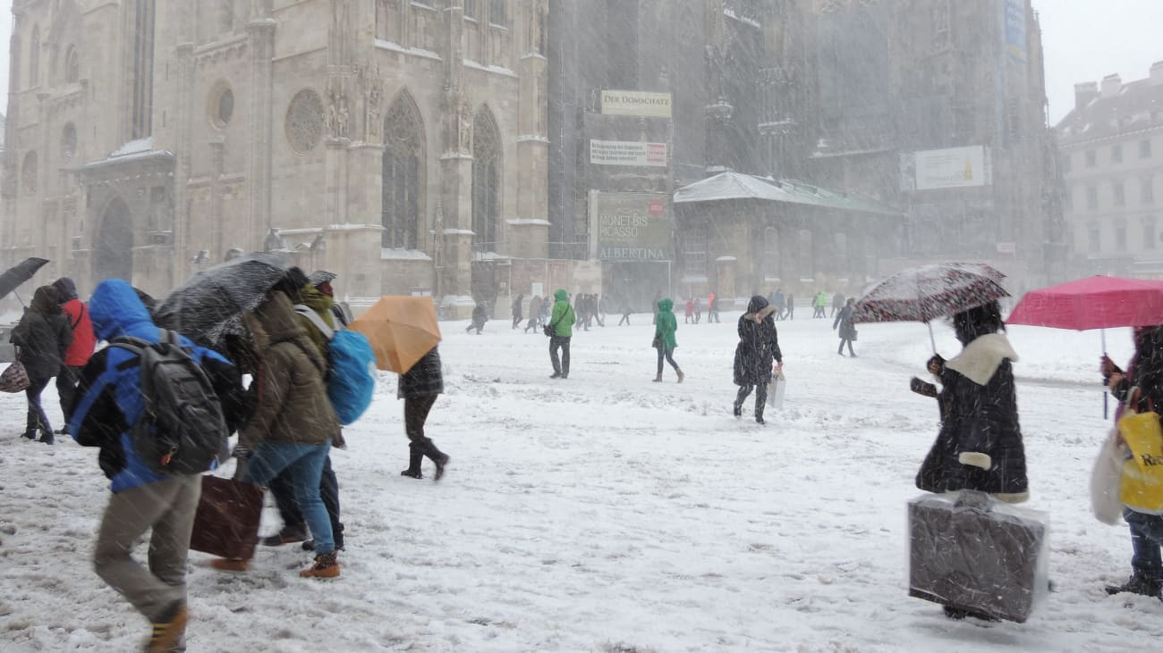 Les 11 activités à faire à Vienne en hiver