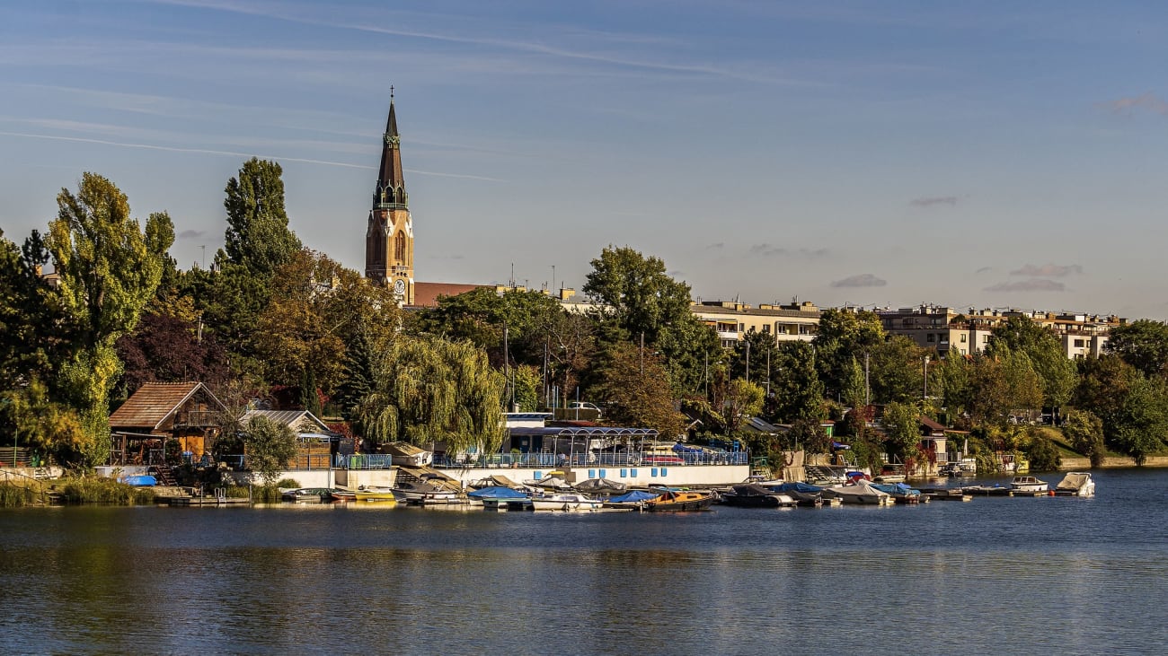 11 saker att göra i Wien på hösten