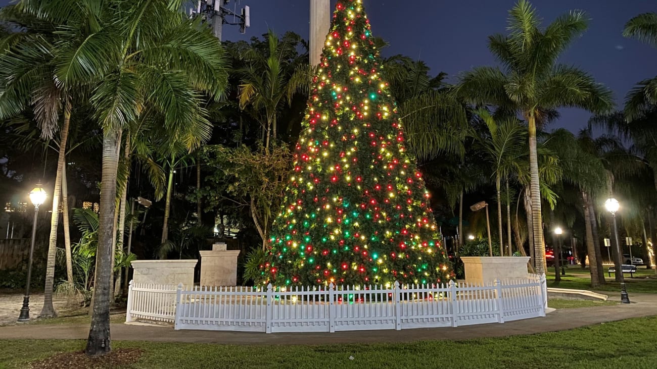 12 cosas que ver y hacer en Miami en diciembre