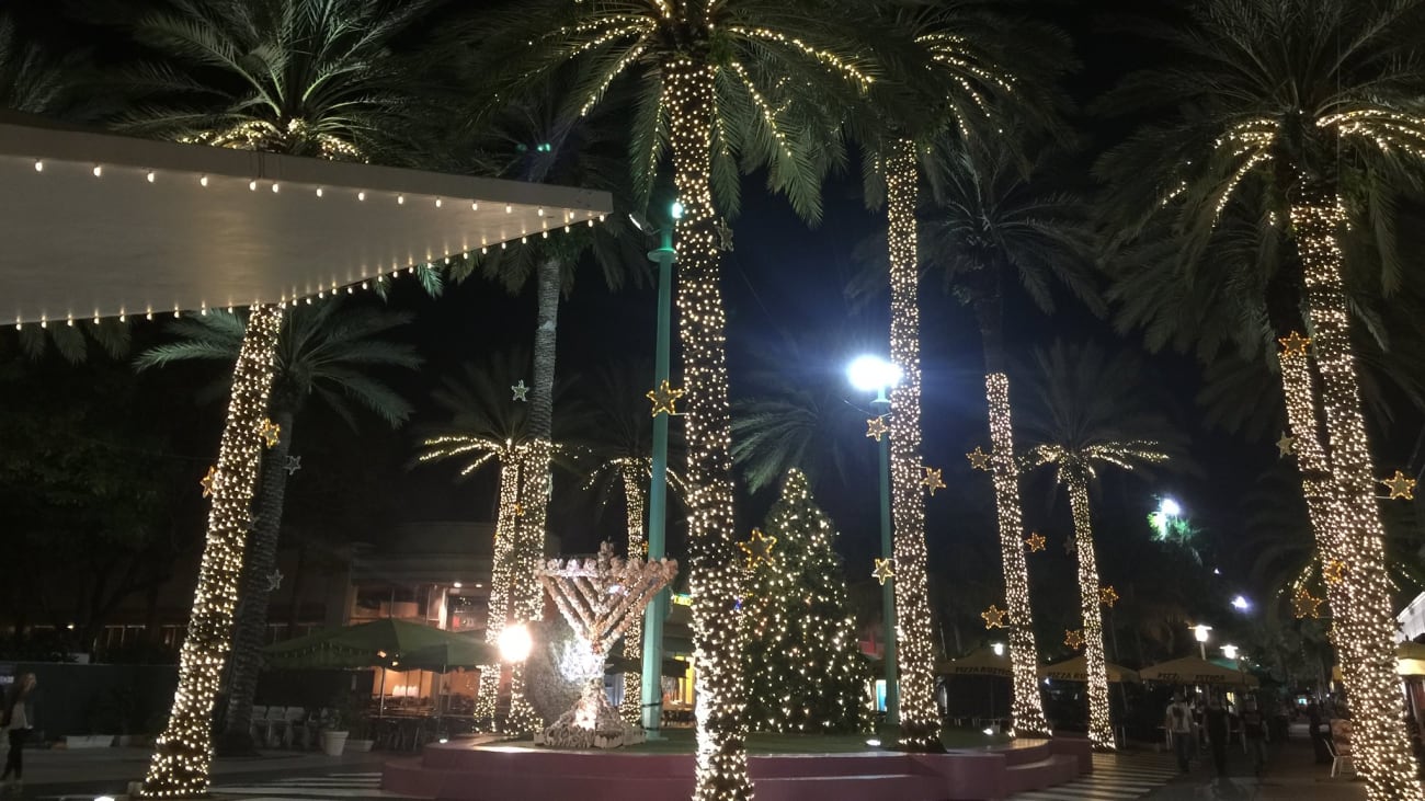 10 cose da fare e vedere a Miami a Natale