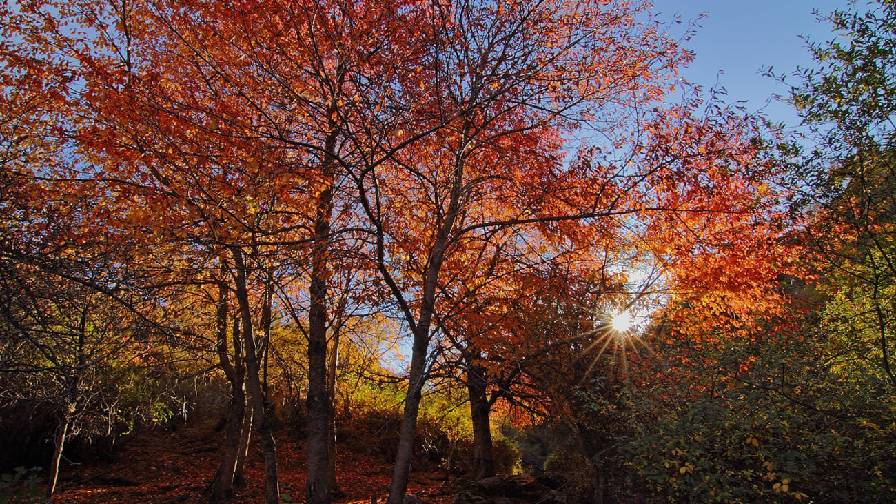 10 activités à faire en automne à Grenade