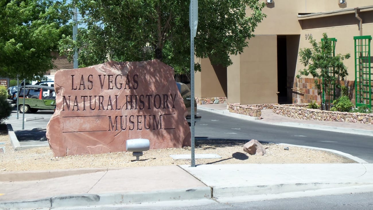 Billets pour le Muséed'Histoire Naturelle de Las Vegas