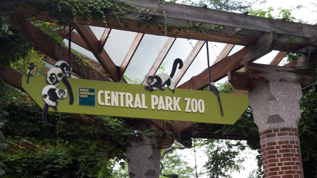 Ingressos para o Zoológico do Central Park