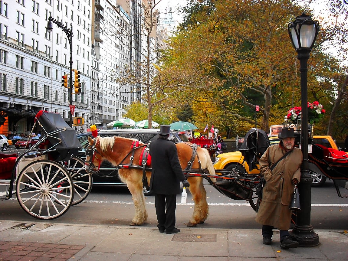 Bedste ture i Central Park med vogn