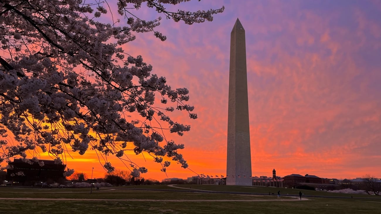 Washington DC em 1 Dia: tudo o que você precisa saber