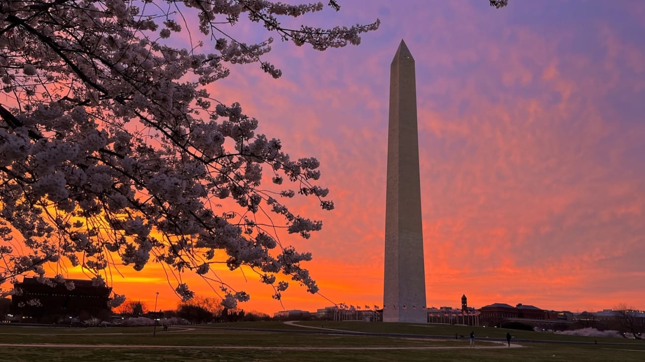 Washington DC in 5 dagen: alles wat je moet weten