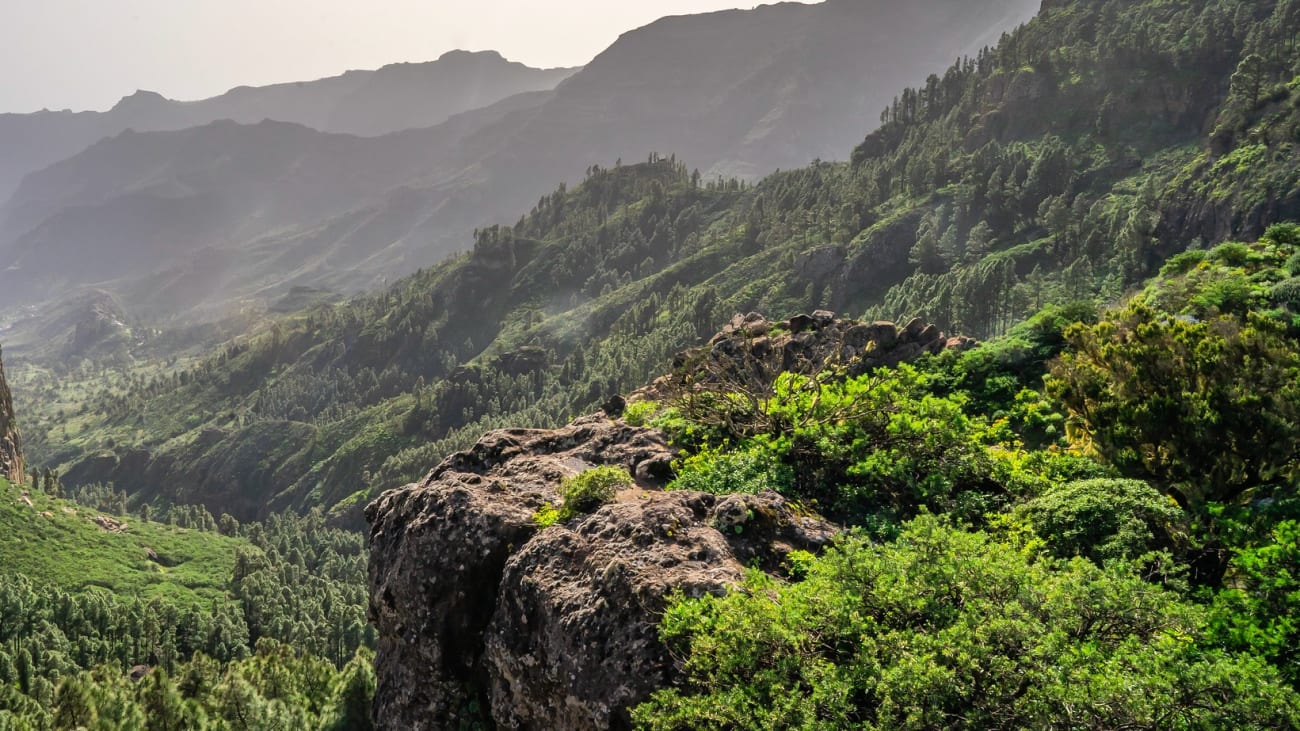 Les meilleures choses à faire à La Gomera