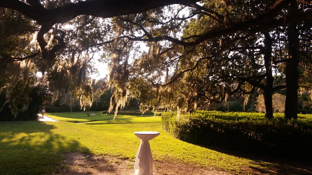 10 Things to Do in Charleston in February